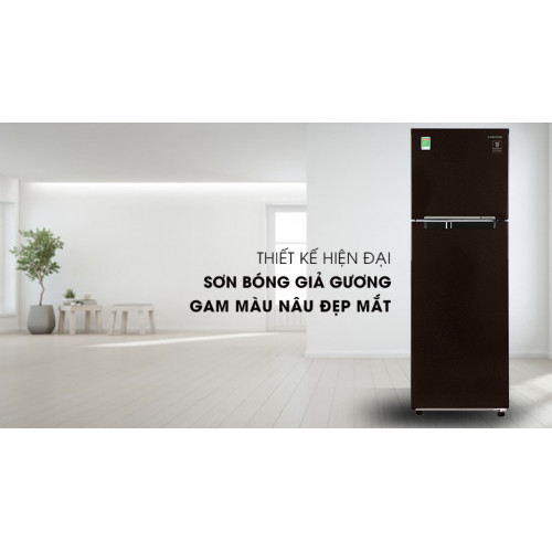 Tủ lạnh Samsung Inverter 256 lít RT25M4032BY/SV
