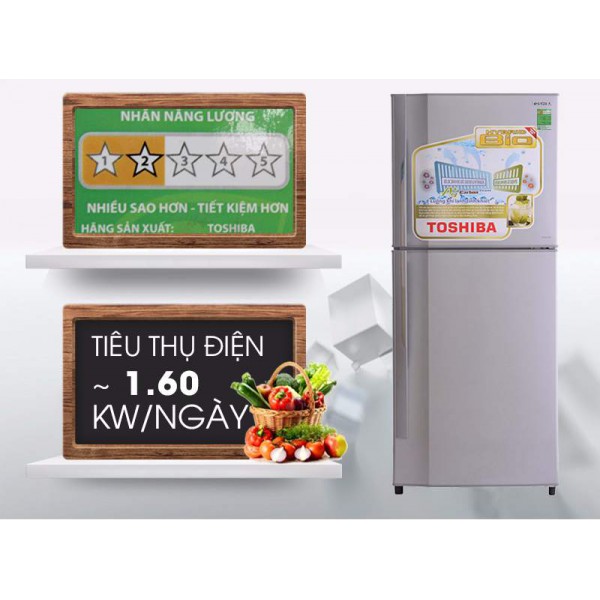 Tủ lạnh Toshiba 186 lít GR-S21VPBS