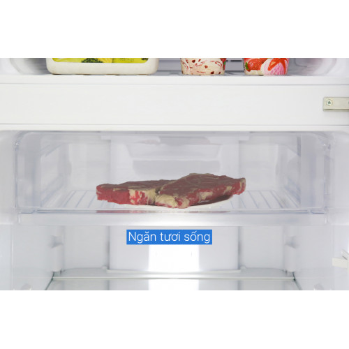 Tủ Lạnh Electrolux ETB2802HA Inverter 260 Iít 