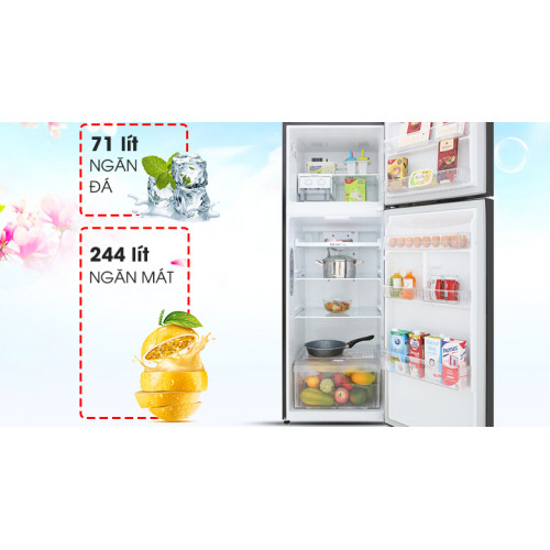 Tủ lạnh LG Inverter 315 lít GN-M315BL 