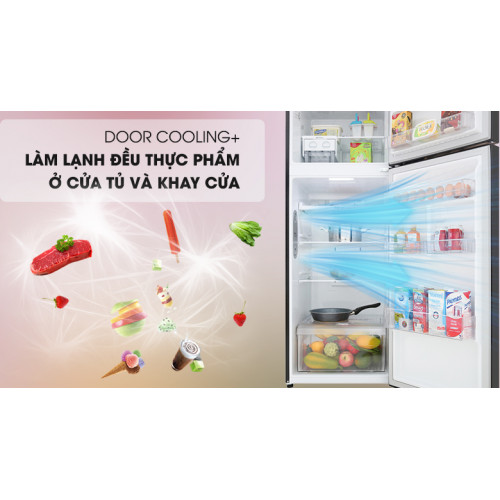 Tủ lạnh LG Inverter 315 lít GN-M315BL 