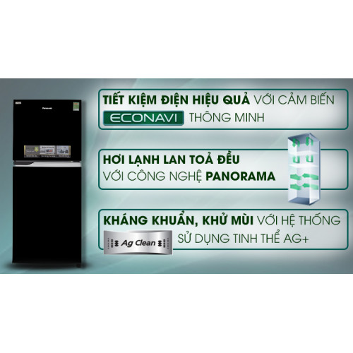 Tủ lạnh Panasonic Inverter 234 lít NR-BL267PKV1